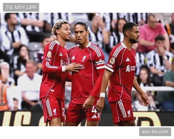 西汉姆联剑指英超前四，全新阵容蓄势冲击欧冠资格