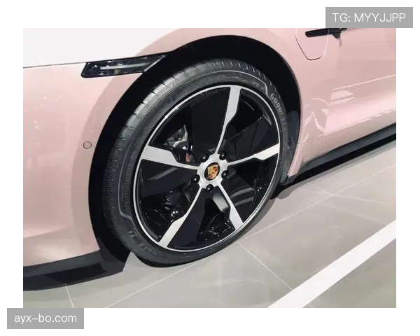 杨千霖家里到底藏了多少豪车？看他开门那一刻我惊呆了！